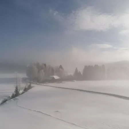 Ursprunghof Apartment