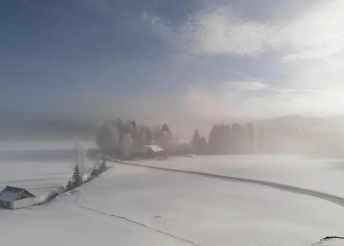 Ursprunghof Apartament